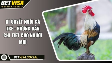 Bí quyết nuôi gà tre - Hướng dẫn chi tiết cho người mới 1 Bí quyết nuôi gà tre