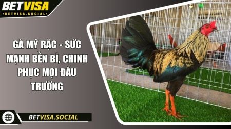 Gà Mỹ rặc